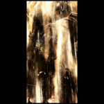 Au bord des Rives01